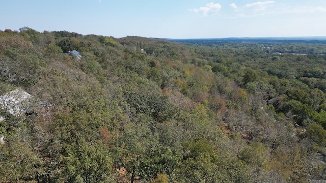 Listing photo 2 for 11 Overlook Trl, Conway AR 72023