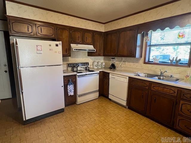 kitchen featuring ornamental molding, sink, dark brown cabinets, and white appliances