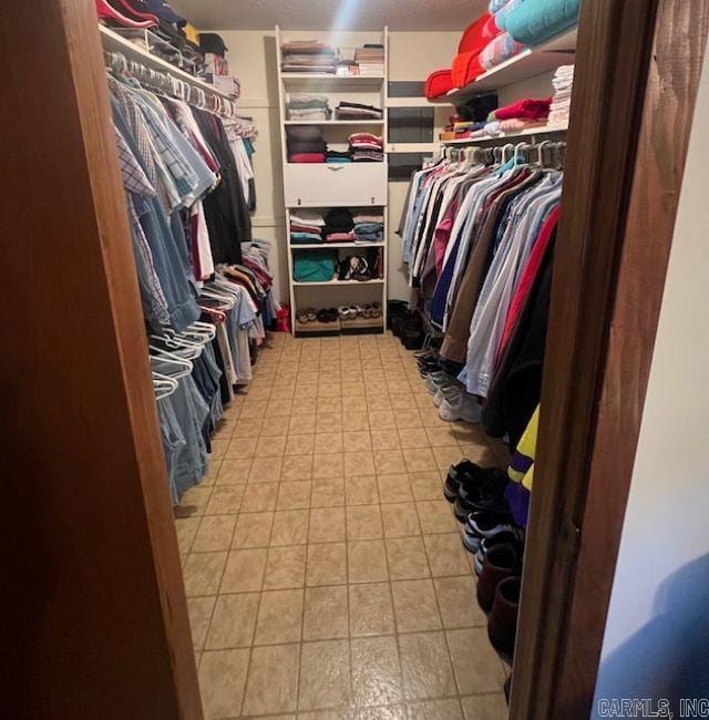 view of spacious closet