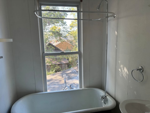 bathroom featuring a bathtub and plenty of natural light