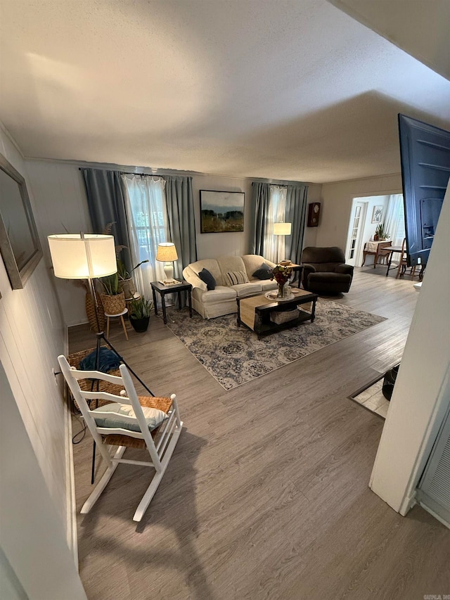 living room with hardwood / wood-style floors