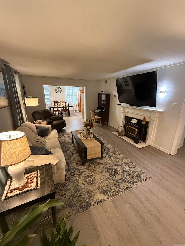 living room with wood-type flooring