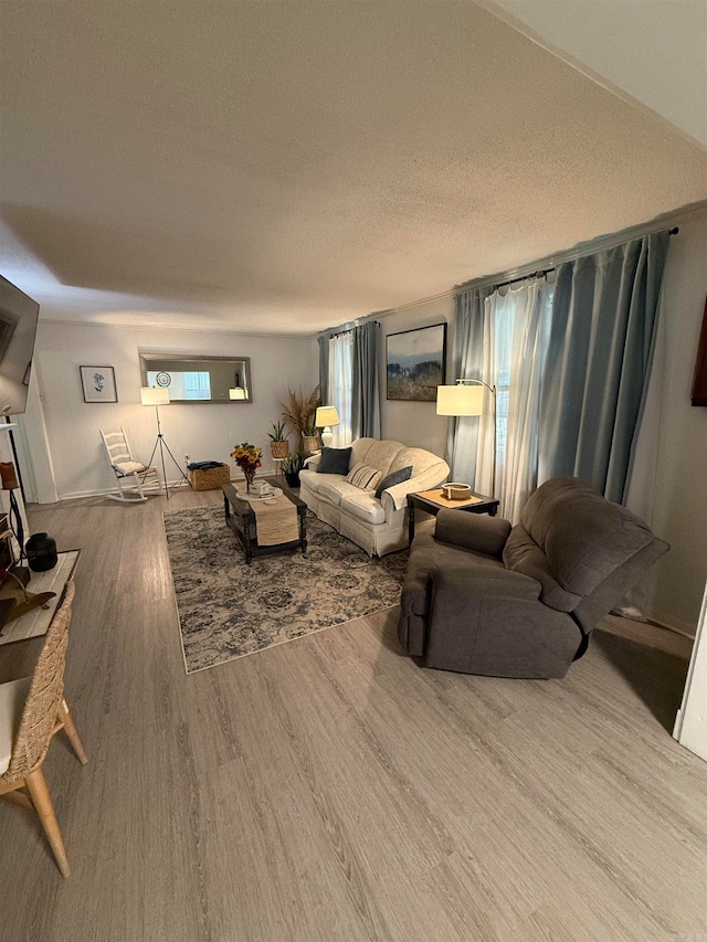 living room with a textured ceiling and wood-type flooring