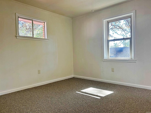 spare room featuring crown molding and carpet floors