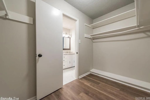 spacious closet with dark wood-type flooring and sink