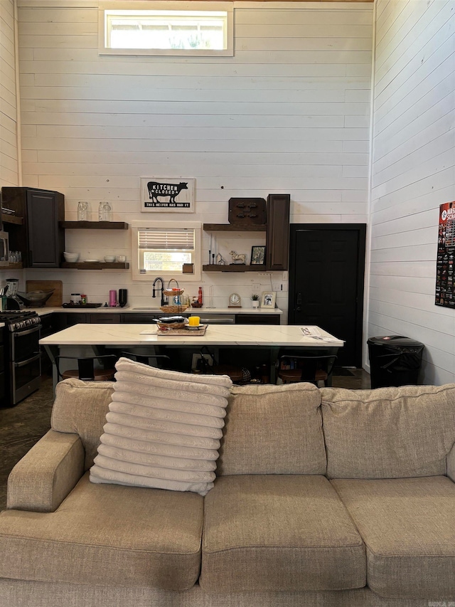 kitchen featuring stainless steel gas stove and wooden walls