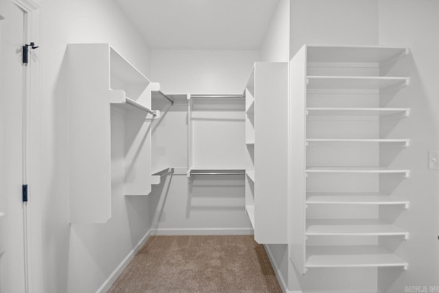 spacious closet with light colored carpet