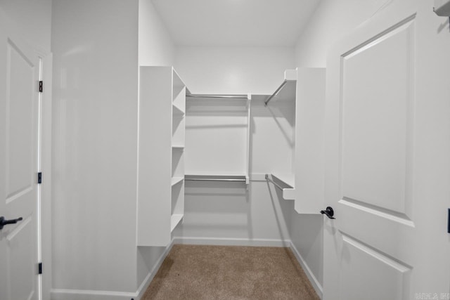 spacious closet with light carpet