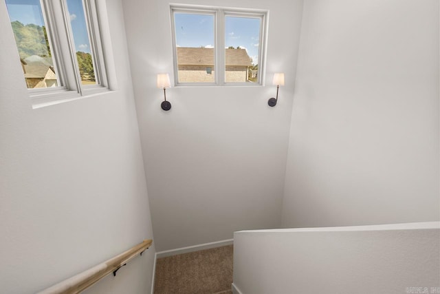 stairs with carpet flooring and a wealth of natural light