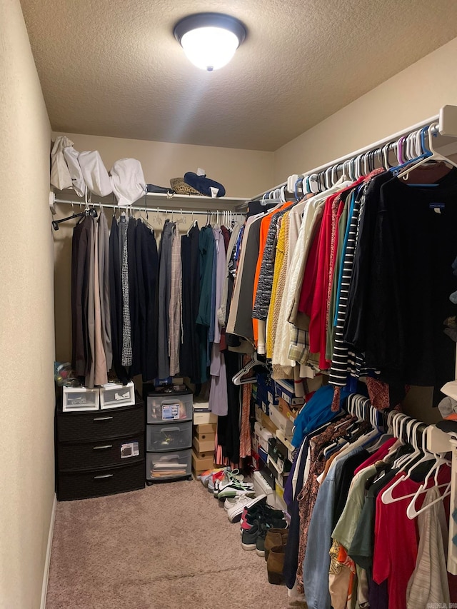 spacious closet with carpet