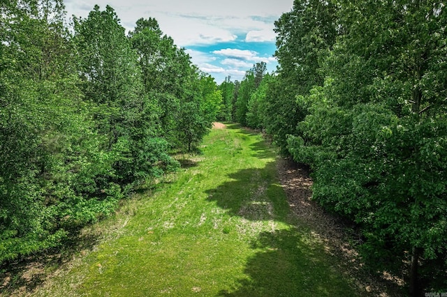 view of nature