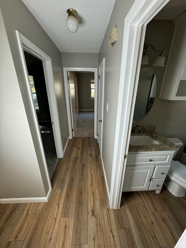 corridor with sink, a textured ceiling, light wood-type flooring, and a healthy amount of sunlight