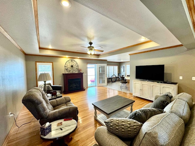 living room with light hardwood / wood-style floors, a tray ceiling, and plenty of natural light