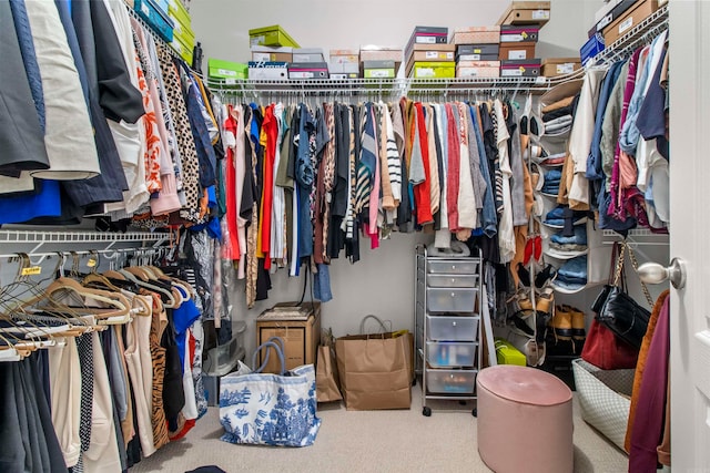 spacious closet with carpet flooring