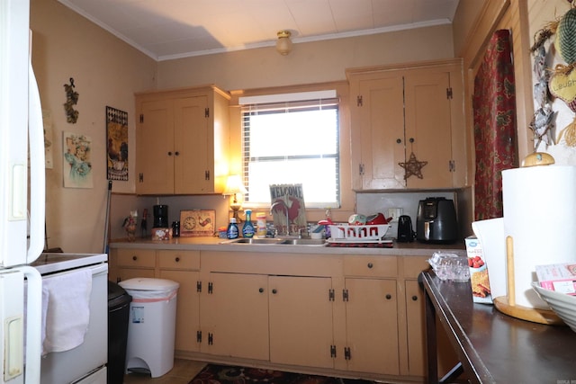 kitchen with white appliances, sink, cream cabinetry, and crown molding