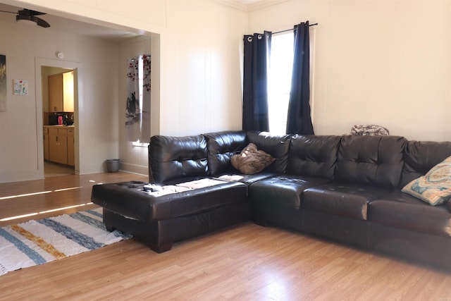 living room with ornamental molding and light wood-type flooring