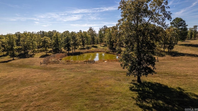 view of local wilderness featuring a water view