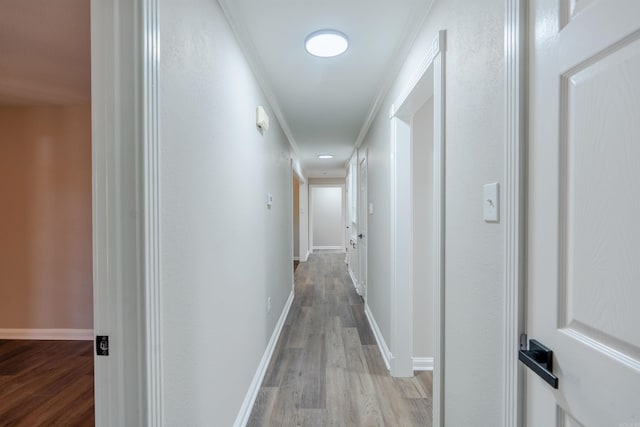 corridor featuring ornamental molding and light wood-type flooring