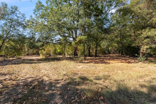 Listing photo 3 for 5A Cadron Dr, Greenbrier AR 72058