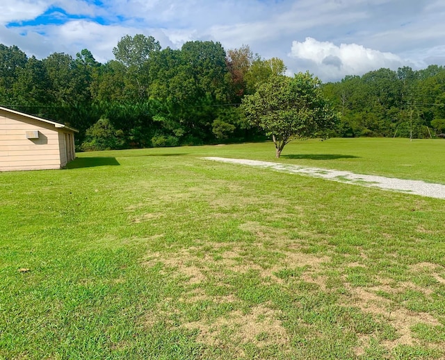 view of yard