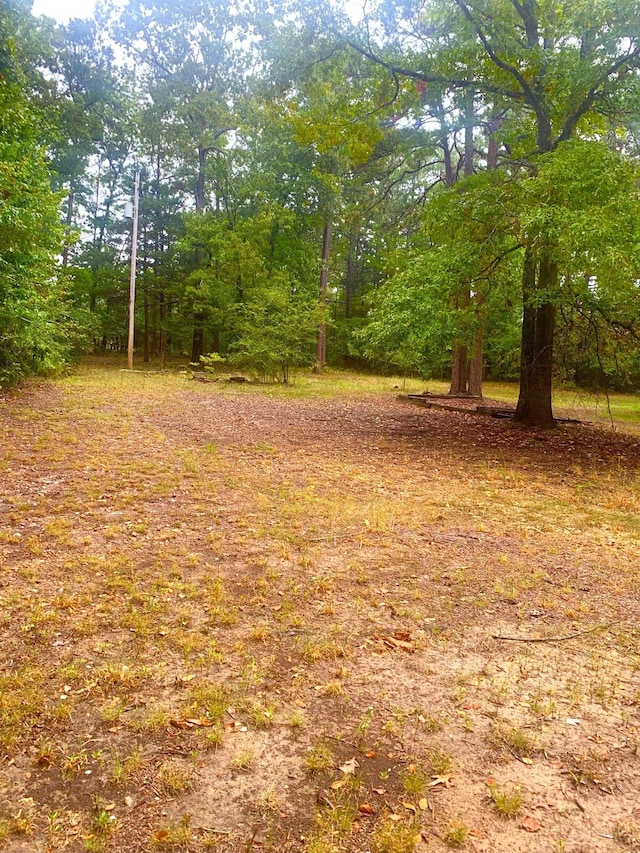 view of local wilderness