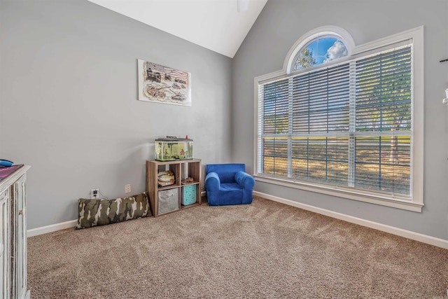 sitting room with carpet floors and high vaulted ceiling