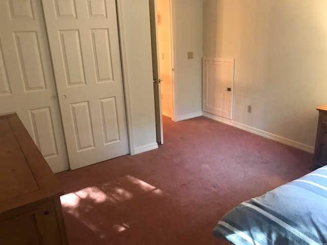 unfurnished bedroom featuring a closet and carpet floors