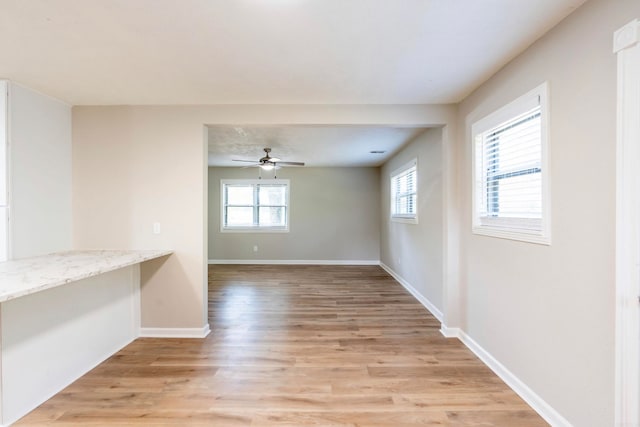 spare room featuring a wealth of natural light, ceiling fan, and light hardwood / wood-style floors