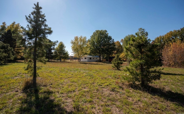 view of yard featuring a rural view