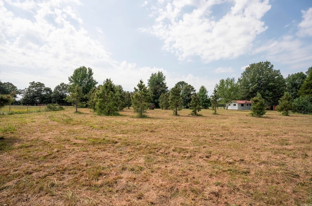 view of yard with a rural view