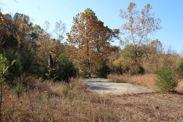 2404 Mc 5010, Everton AR, 72633 land for sale