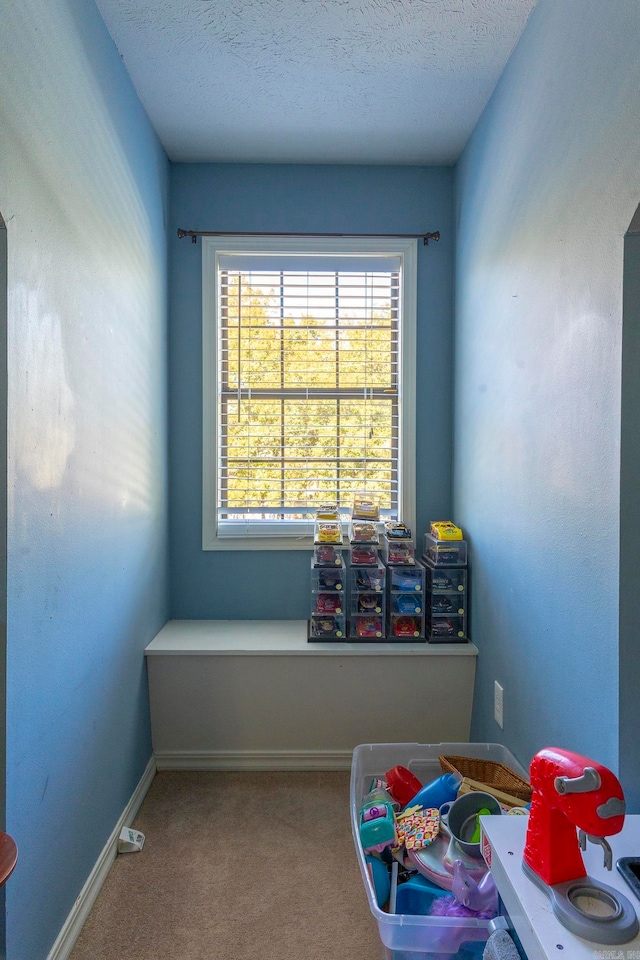 game room featuring a textured ceiling and carpet floors