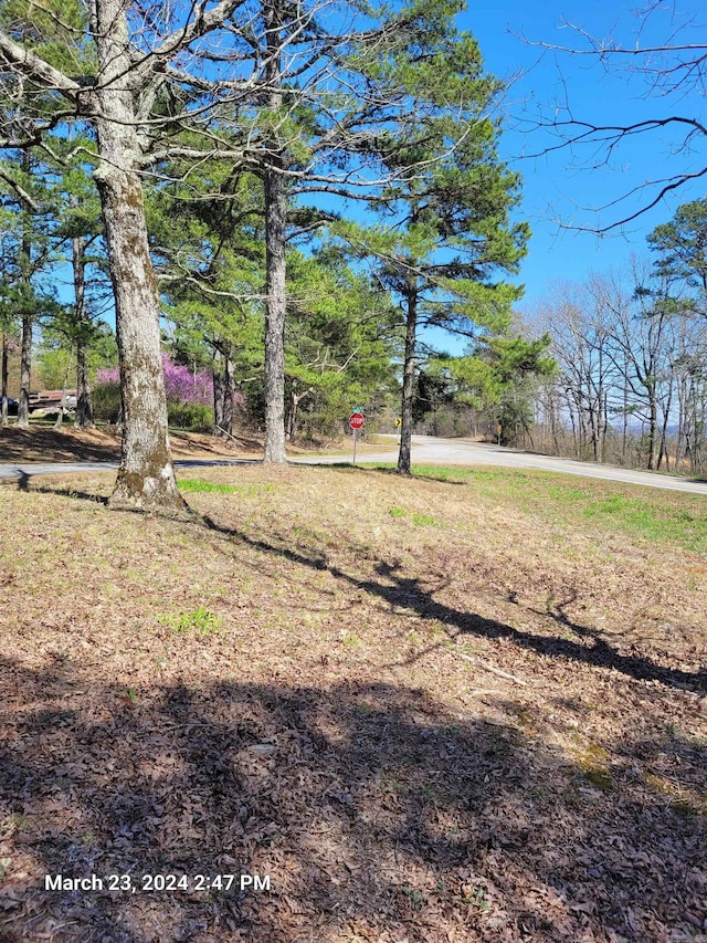 Listing photo 3 for 102 Pumpkin Center Rd, Clinton AR 72031