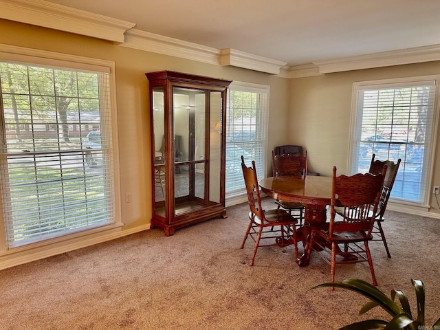 dining area with crown molding and carpet flooring