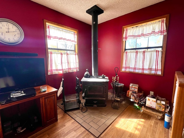 interior space with light hardwood / wood-style flooring, a healthy amount of sunlight, and a wood stove