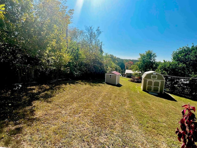 view of yard with a shed