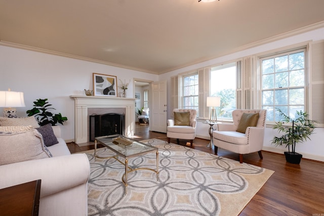 living room featuring dark wood-type flooring and crown molding