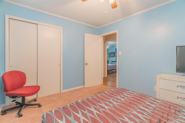 bedroom with ceiling fan, ornamental molding, a closet, and carpet flooring