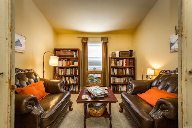 sitting room with carpet flooring