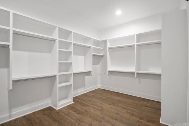 walk in closet with dark hardwood / wood-style flooring