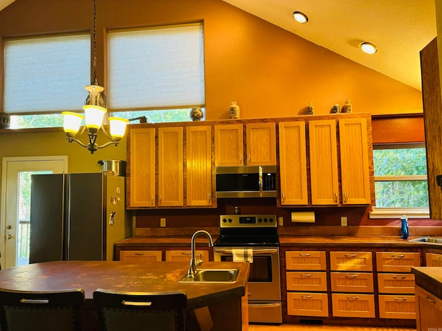 kitchen featuring stainless steel appliances, plenty of natural light, and vaulted ceiling