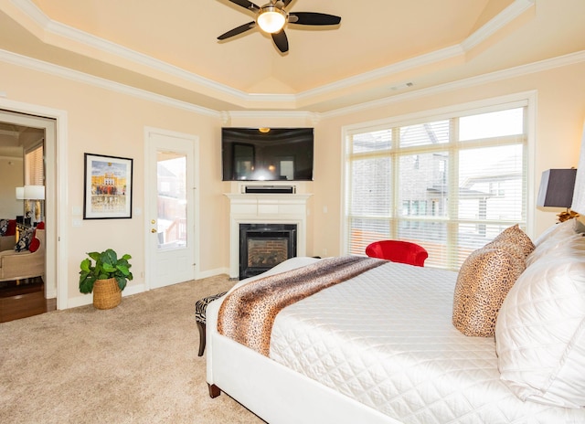 bedroom with multiple windows, carpet, and a tray ceiling