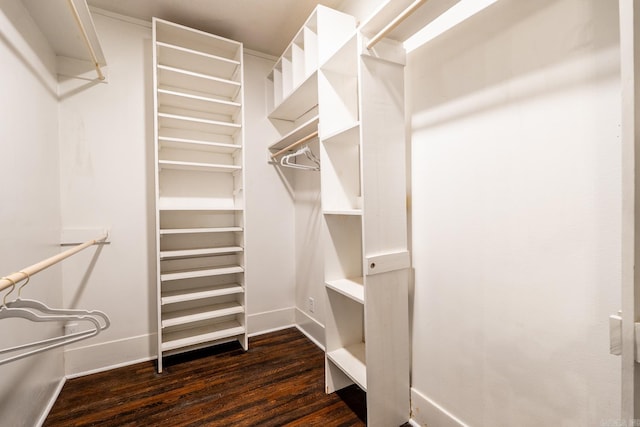 spacious closet featuring dark hardwood / wood-style floors