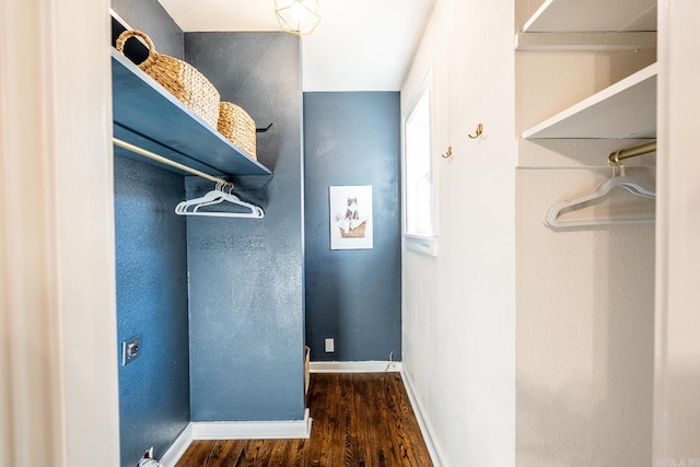 spacious closet featuring dark wood-type flooring