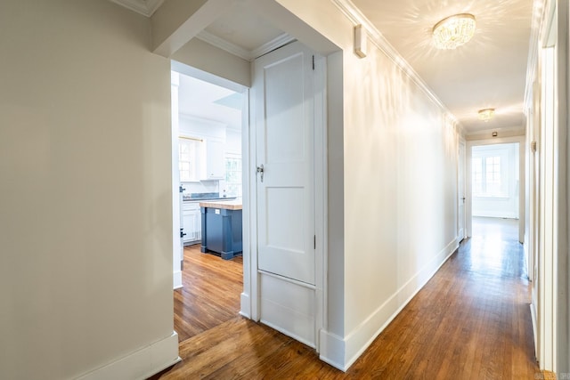 hallway featuring crown molding and hardwood / wood-style floors