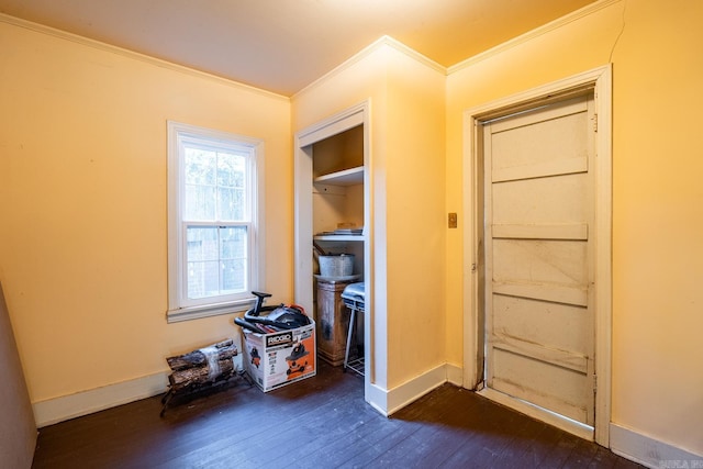 interior space featuring crown molding and dark hardwood / wood-style floors