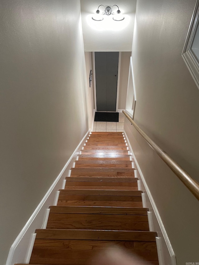 stairway with wood-type flooring