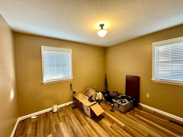 miscellaneous room with a wealth of natural light, a textured ceiling, and hardwood / wood-style flooring