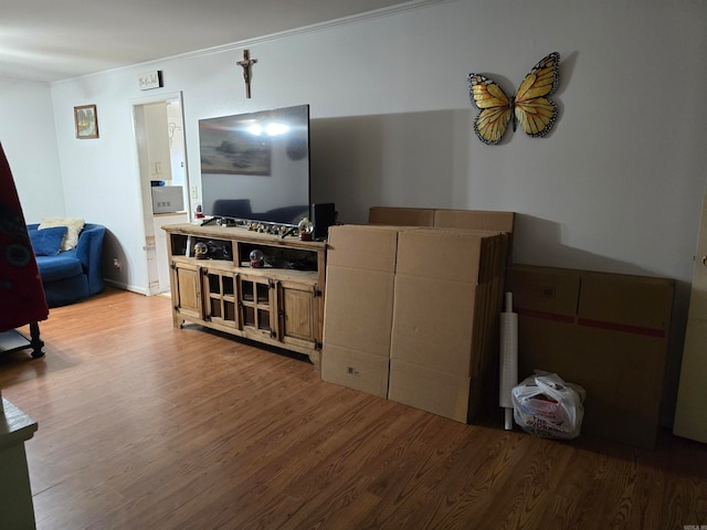 living room with light wood-type flooring