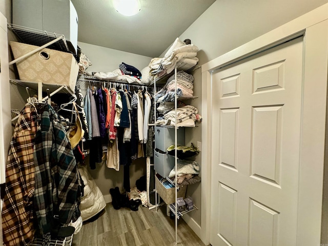 spacious closet featuring wood-type flooring